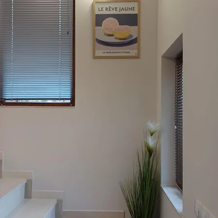 форест 58 * Balcic