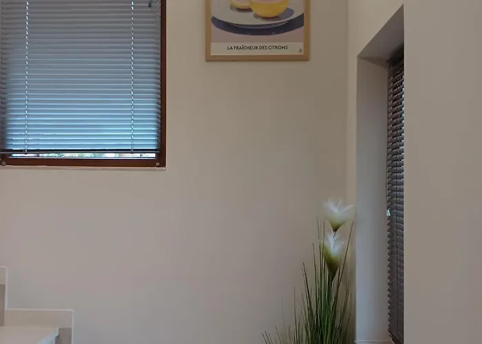 форест 58 * Bałczik